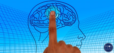 25. El Toque Mágico del Cerebro